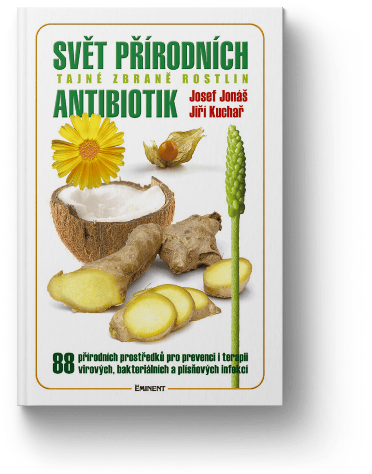 Svět přírodních antibiotik Přírodní antivirotika a